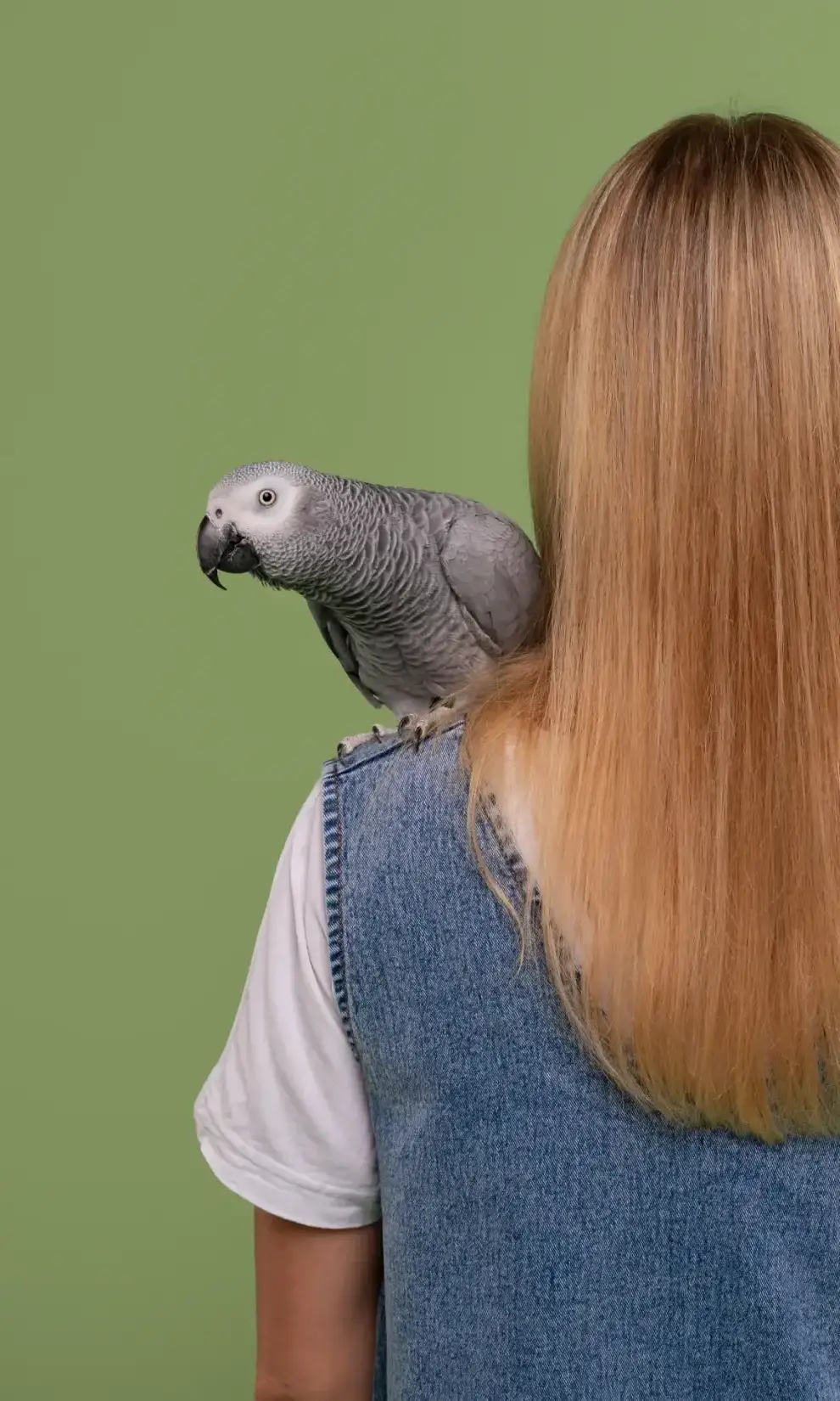 Femeie văzută din spate ținând un papagal într-un studio