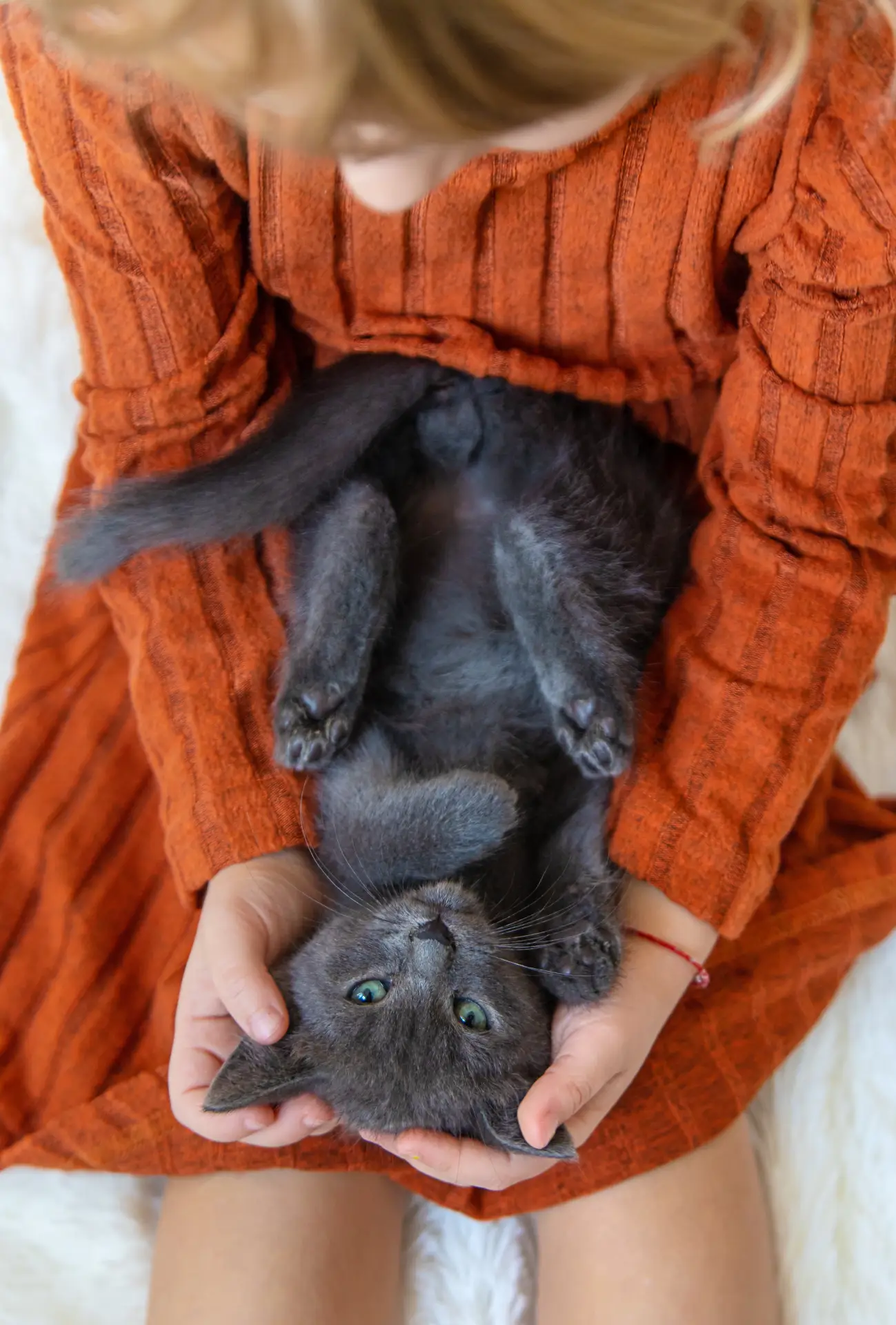 Copil jucându-se cu mai mulți pisoi în interior