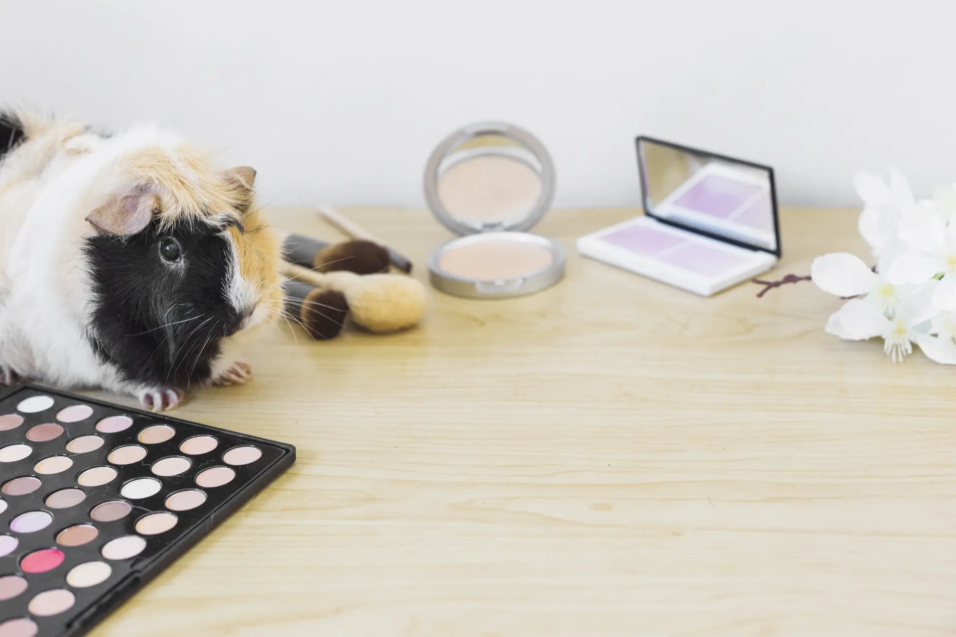 Porcușor de Guineea lângă produse cosmetice și flori pe o masă din lemn