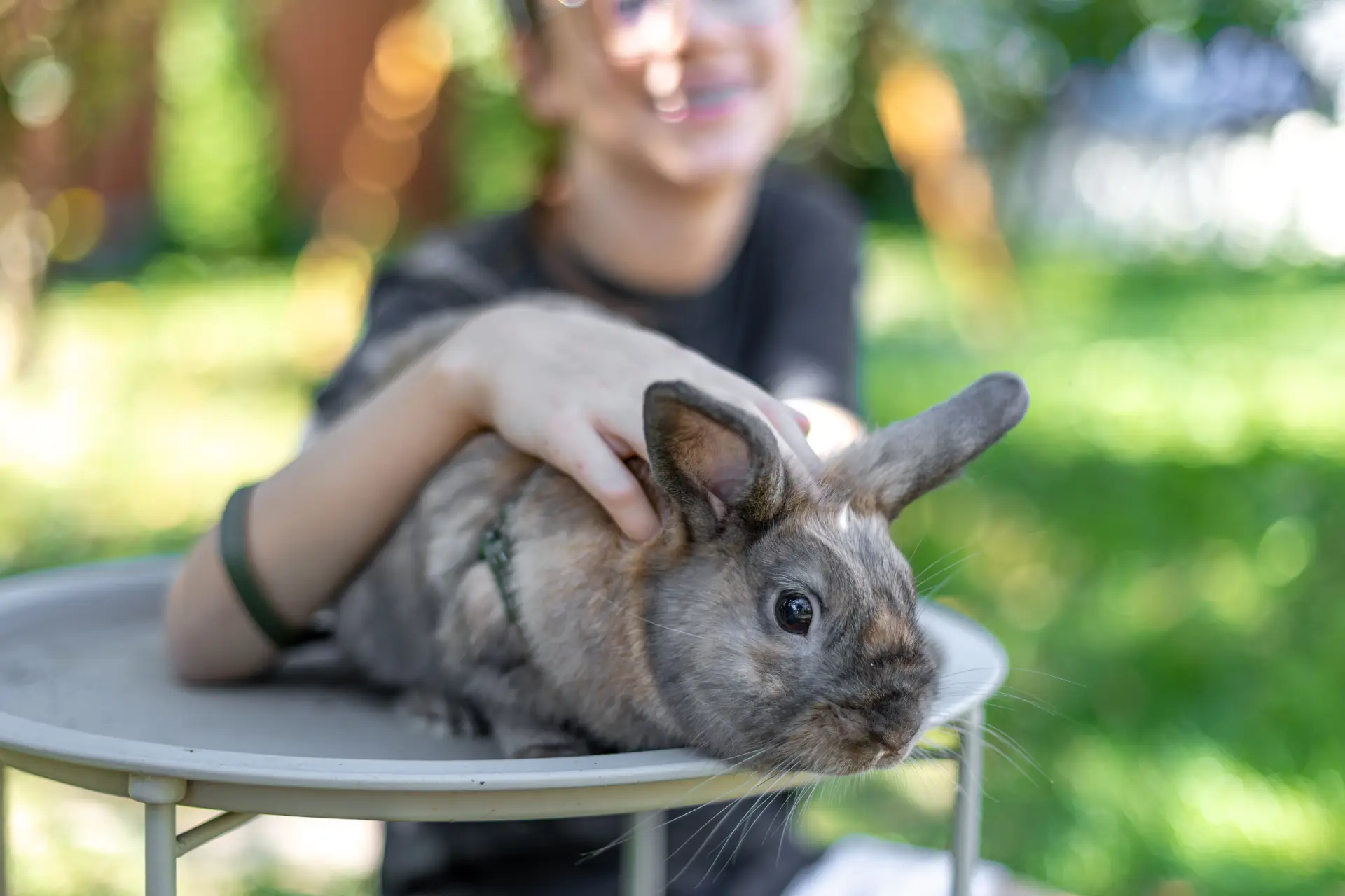 Fetiță jucându-se cu un iepure domestic în aer liber