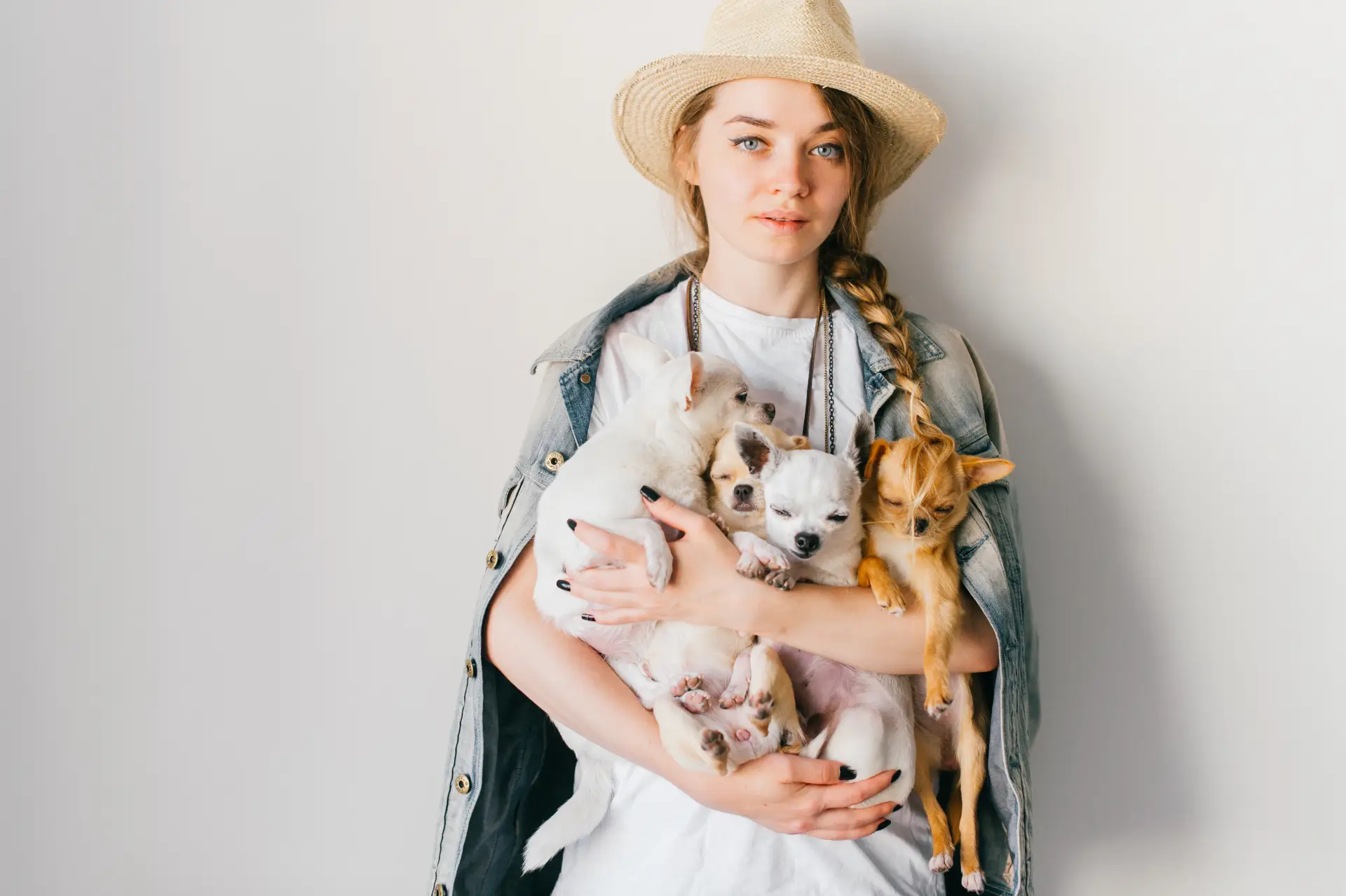 Tânără fată hipster zâmbitoare și fericită, cu pălărie de paie, jachetă de blugi cu coafuri în stil rusesc și păr lung, ținând în mâini trei căței chihuahua cu fețe emoționante și amuzante. Coafură. Privește la cameră.