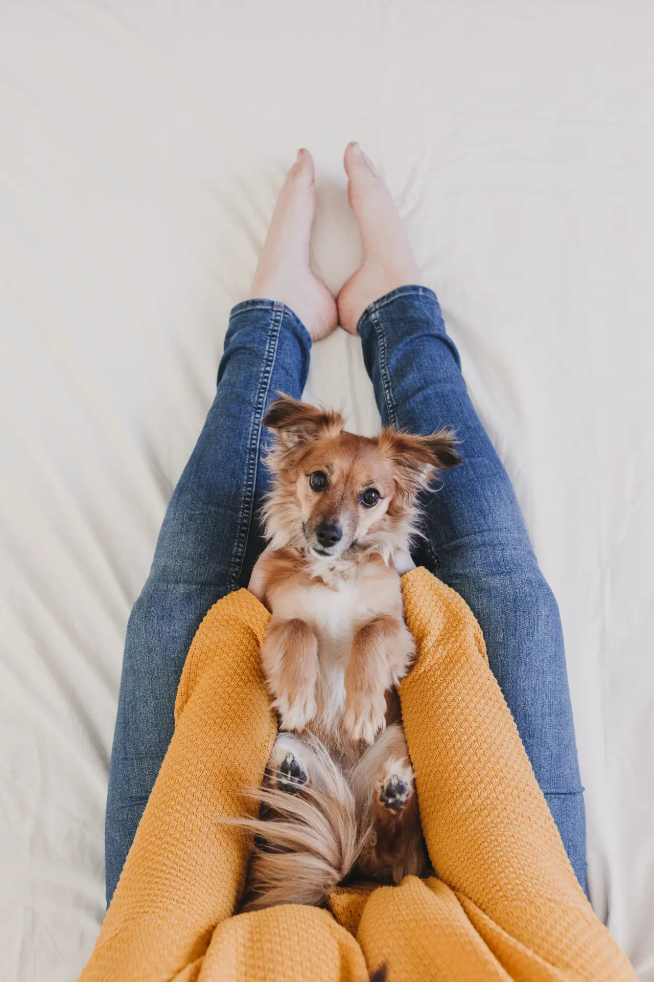 Femeie ținând un câine în brațe, fotografie realizată din zona picioarelor