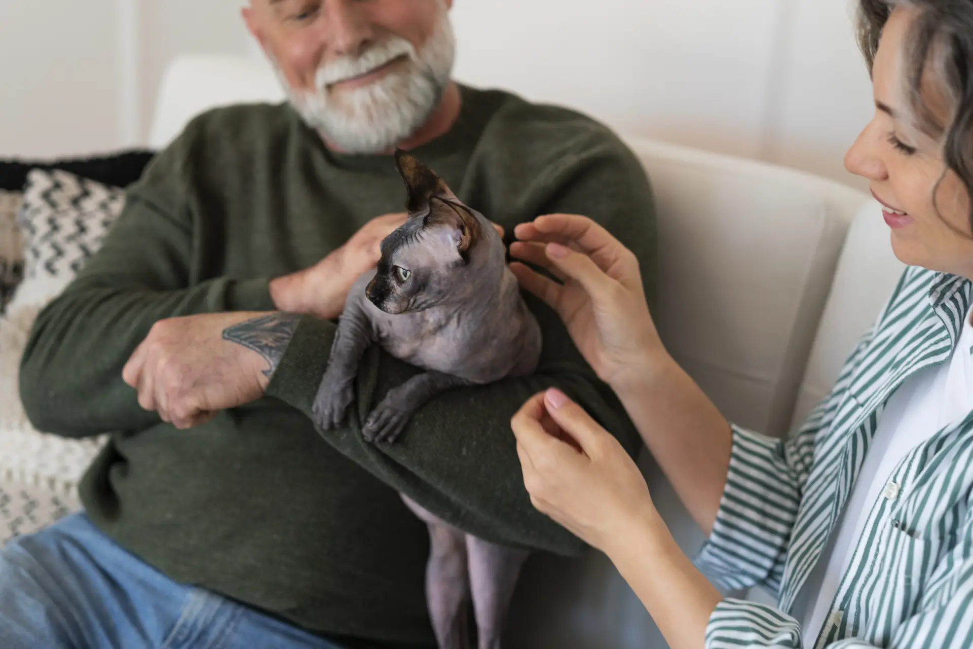 side-view-senior-couple-with-cat-home