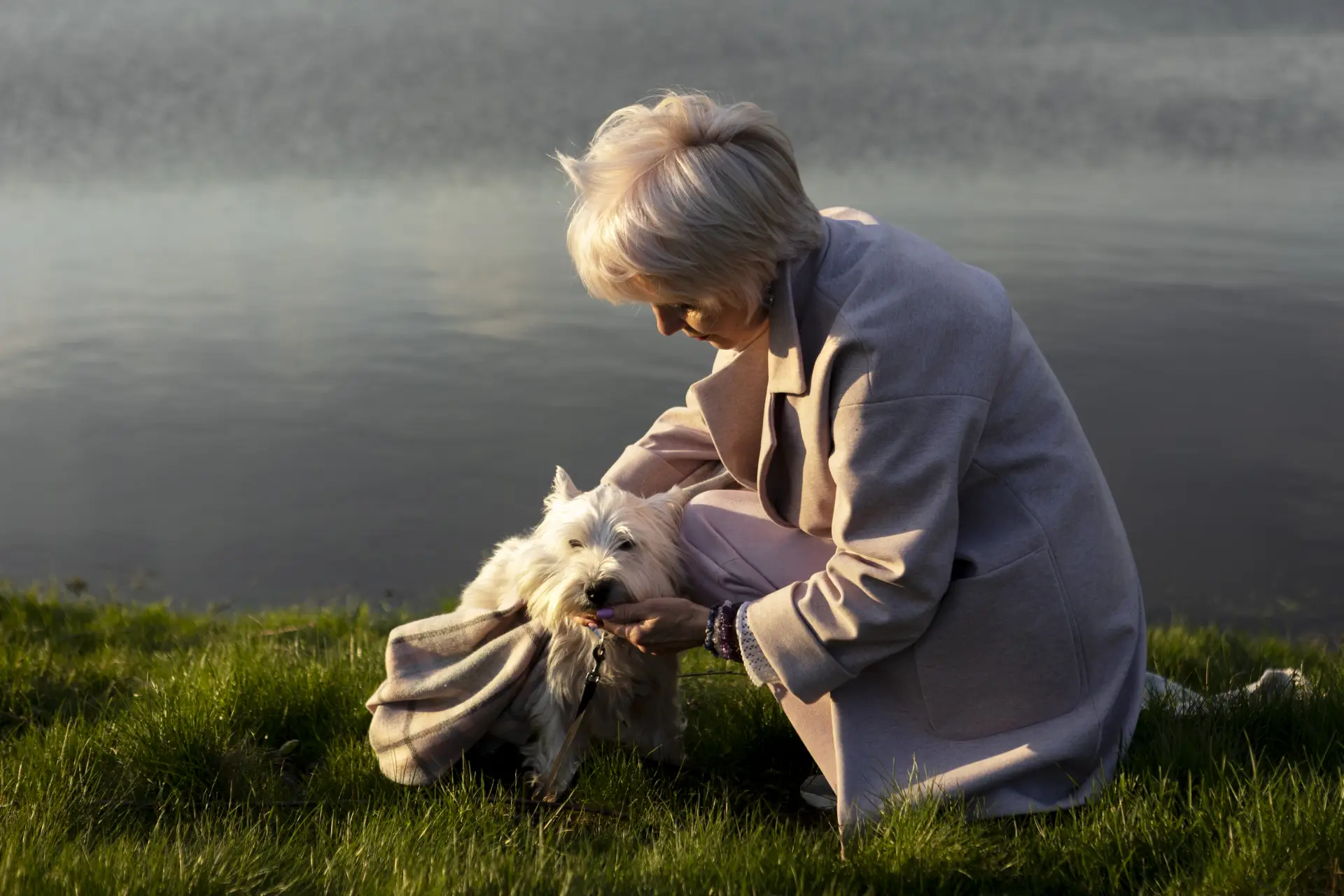 Urne funerare pentru animale de companie, mai multe modele